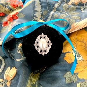 Black velvet Christmas ornament